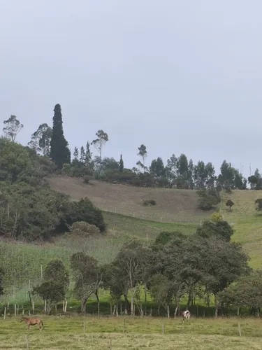 Venpermuto Terreno En Sibaté, Alto Charco