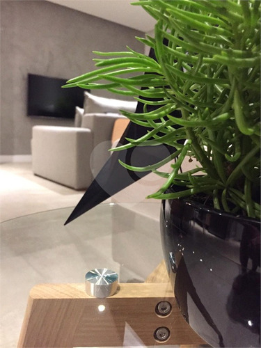 Imagem 6 de 22 de Apartamento-são Paulo-butantã | Ref.: Reo379957 - Reo379957