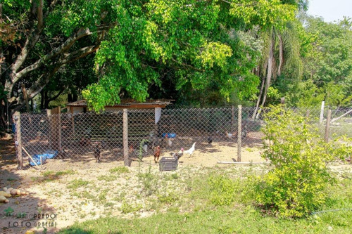 Imagem 6 de 30 de Chácara Com 2 Dormitórios À Venda, 30 M² Por R$ 650.000 - Porangaba - Porangaba/sp - Ch0009