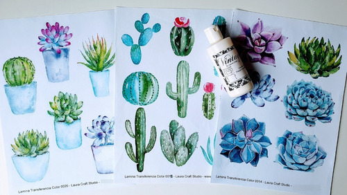 Imagen 5 de 5 de Transferencia Color Set Suculentas Y Cactus Laura Craft