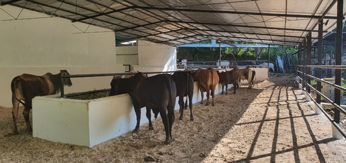 Ninoska Bautista Vende Finca Producti A A 30minutos De San C