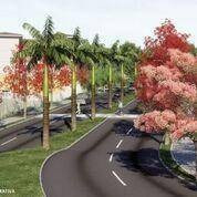 Imagem 25 de 26 de Terreno Residencial À Venda, Loteamento Residencial Entre Verdes (sousas), Campinas. - Te0468