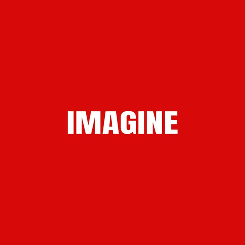 Imagen 7 de 7 de Cojín Decorativo Imagine Perros Pug Miniatura Silla Recamara