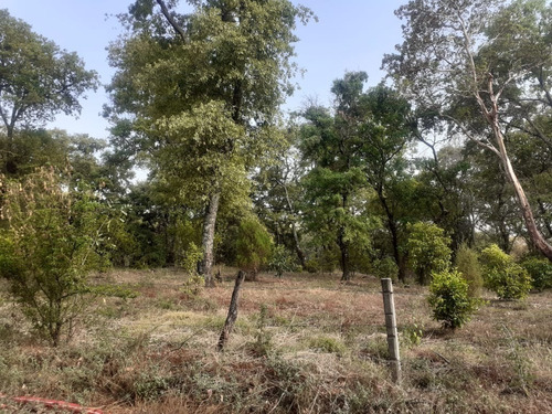 Hermoso Terreno En Tlaltépetl Tepoztlán Morelos