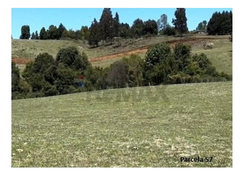 Terrenos 5.000 M² Cerca De Corralco, Curacautín.