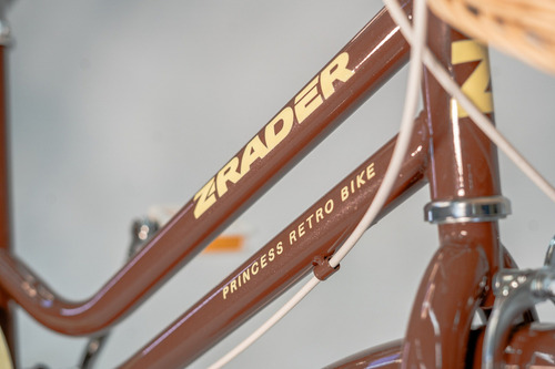 Bicicleta Infantil Feminina Clássica Retrô Aro 20 Z-rader Marrom 20