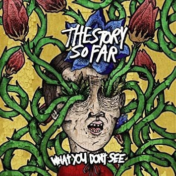 Story So Far What You Donøt See Usa Import Lp Vinilo