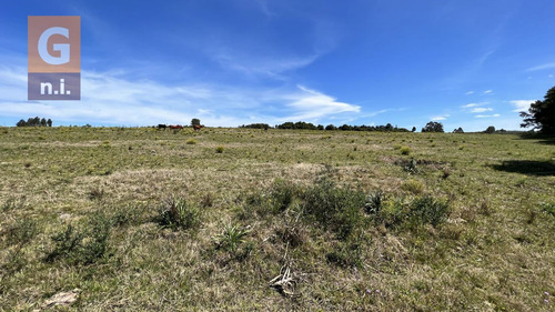 Campos Y Fracciones (ruta 9, Pan De Azúcar) Ref. 5631