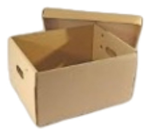 Caja Carton Archivo Multiuso 41x36x26 Con Tapa
