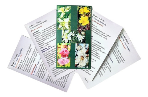 Tarjetas Guia De Flores De Bach Envio Gratis!