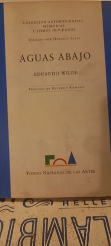 Aguas Abajo.  Eduardo Wilde.