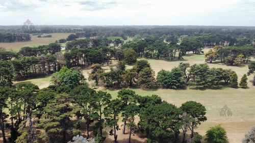 Imagen 16 de 30 de Terreno - Mar Del Plata - Pileta - Mar - Country - Barrio Privado - Golf - Costa Atlántica