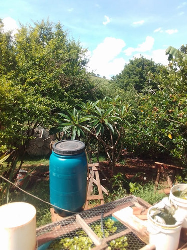Imagem 23 de 30 de Chácara 1 Alqueire, Acesso Asfaltado, 2 Casas, Sendo Uma Com 3 Dormitórios, Área Gourmet Com Churrasqueira, Pomar, Horta, Galinheiro - Ch00200 - 70578730