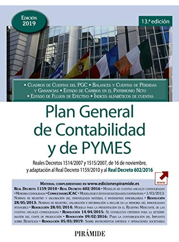Libro Plan General De Contabilidad Y De Pymes De Leandro Cañ