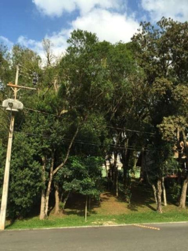 Imagem 15 de 30 de Excelente Terreno São Braz - Te-0448 - 3295582