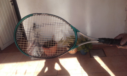 Raqueta Tenis Head