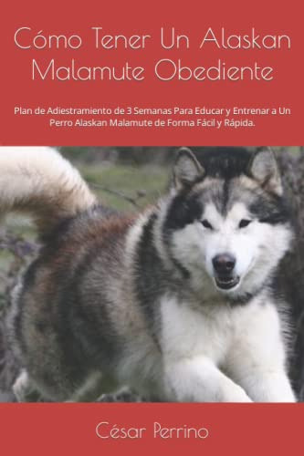 Como Tener Un Alaskan Malamute Obediente: Plan De Adiestrami