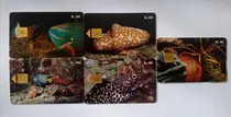 Comprar Tarjetas Telefonicas Venezuela Mundo Marino