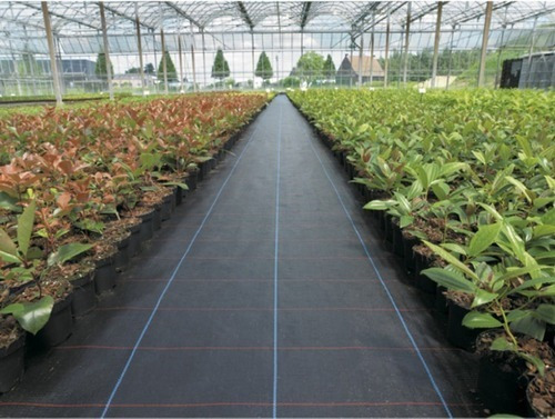 Imagen 5 de 10 de Ground Cover O Malla Antimaleza 2m Ancho X 100m Largo
