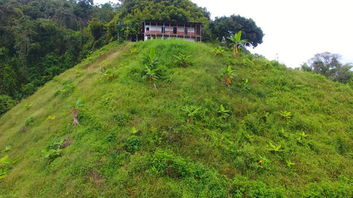 Venta De Finca En La Vereda El Tabor (san Peregrino, Manizales)