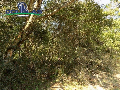 Lindo Sítio 2 Hectares Ótima Localização - 1535
