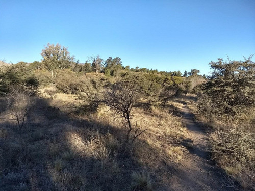 Imagen 10 de 30 de Terrenos En Las Sierras