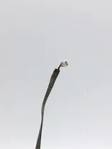 Comprar Flex Video Notebook Exo Smart E19  Outlet º1