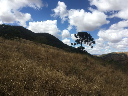 Imagem 23 de 24 de Chácara À Venda, 2800 M² Por R$ 80.000 - Zona Rural - Caldas/mg - Ch0126