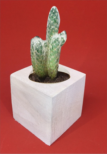 Maceta Souvenirs  5x5x5 Para Cactus O Suculenta