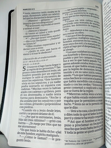 Imagen 10 de 10 de Santa Biblia Nvi Letra Gigante Piel Fabricada Color Marrón