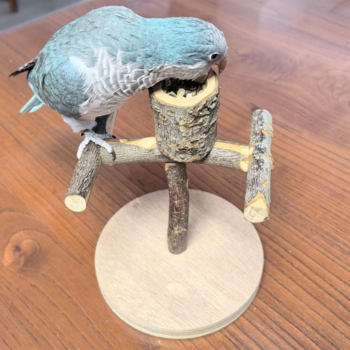 Zona De Juegos Para Pájaros Para Loros Soporte Para Percha P