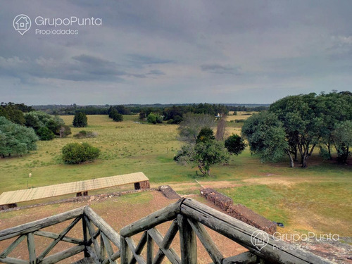 Imagen 18 de 29 de Chacra En Venta - La Pataia