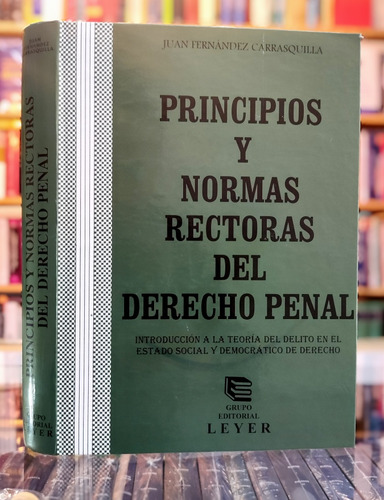 Principios Y Normas Rectoras Del Derecho Penal 