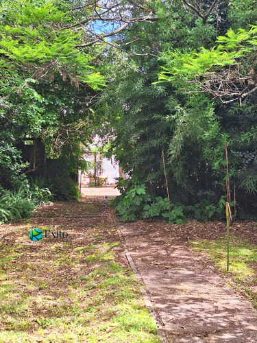 Vendo Casona De Época 4 Dorm,2 Cocinas,3 Baños 2 Plantas. Sobre Avenida Lezica Gran Padrón De 1.100 M2, Barrio Colon