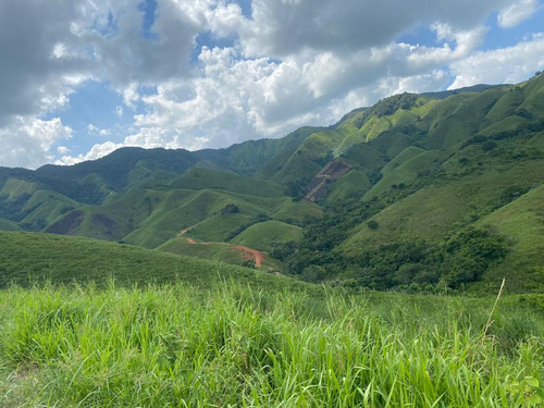 Finca Con Rio ,montaña Y Cascada En Higuey