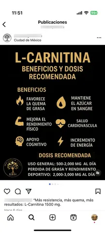 l-carnitina usos y beneficios L- Carnitina L-Carnitina: qu es, para qu