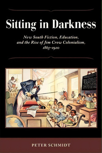 Sitting In Darkness, De Peter Schmidt. Editorial University Press Mississippi, Tapa Blanda En Inglés