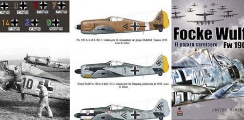 Focke Wulf Fw 190 (libro Original)