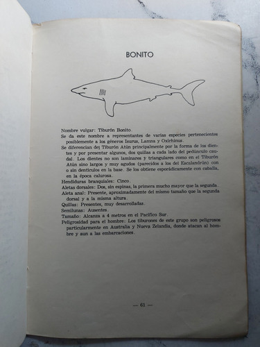 Tiburones En El Mar Argentino. Secretaria De Marina. Ian 632 (Usado)