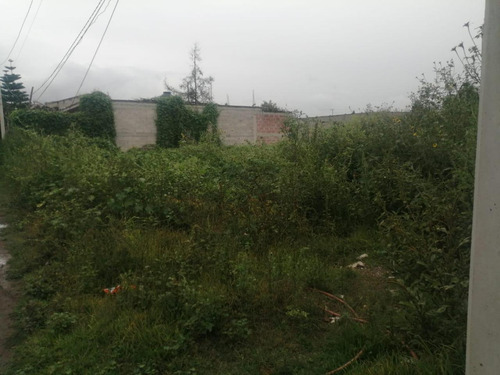Terreno Habitacional En Venta En Montecillo, Texcoco, México
