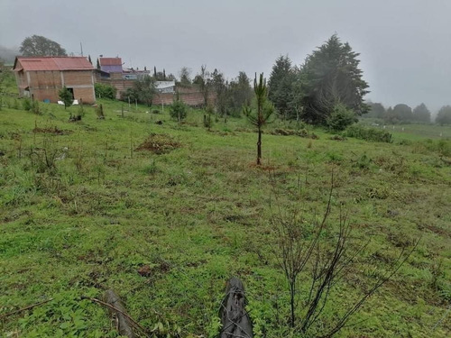Imagen 3 de 5 de Terreno Tranquilo Panorámico En Huitzilac