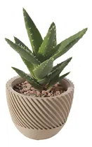 Comprar Maceta Diseño Moderno Corte Espiral Dos Partes Suculenta 3d