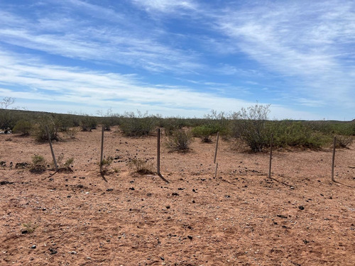Venta Campo, Terreno, Senillosa, Confluencia, Neuquén, Añelo, Vaca Muerta, Ruta 22, Parque Industrial, Patagonia