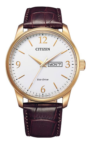 Reloj Citizen 61481 Eco Drive Hombre Correa Wr100