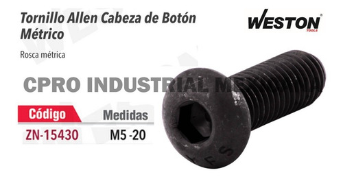 100 Tornillos Allen Cabeza De Botón Métrico 5 X 20