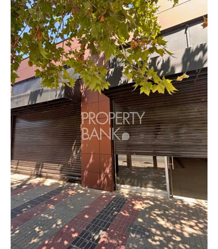 Nuevos Locales En Plena Av. Vicuña Mackenna (173649)