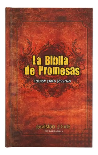 Santa Biblia De Promesas Reina-valera 1960 - Unilit Unilit