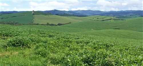 Fazenda A Venda No Sul De Minas Com 470 Ha - Bcp93