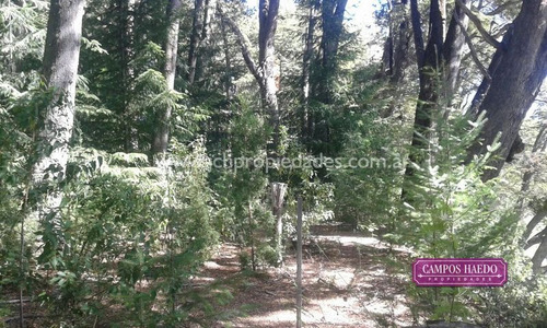 Lote De 4.380 M2 Con Costa De Rio Bonito - V. Angostura