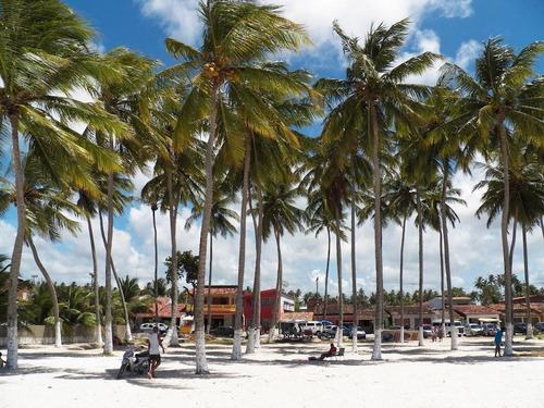 Imagem 2 de 8 de Sítio À Beira Mar Em Carne De Vaca Com 45100m² - 4,51 Hectares Por R$ 1.300.000 - Carne De Vaca - Goiana/pe - Te0016